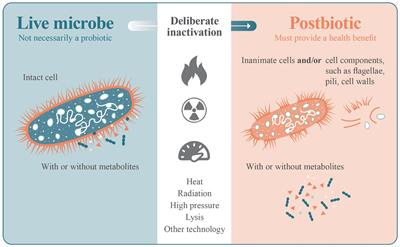 Frequently asked questions about the ISAPP postbiotic definition